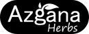 transparent logo