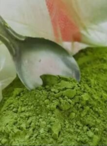 WhatsApp Image 2025-06-15 at 13.56.48_22cd1666