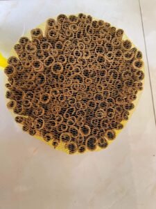 WhatsApp Image 2025-06-15 at 14.01.01_f14f3b65