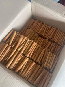 WhatsApp Image 2025-06-15 at 14.01.06_b675f8c0