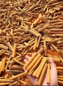 WhatsApp Image 2025-06-15 at 14.01.12_c317b043